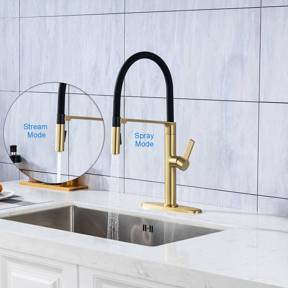 Magnetic Single Handle Pull Down Sprayer Kitchen Faucet with Deckplate and Water Supply Line Included