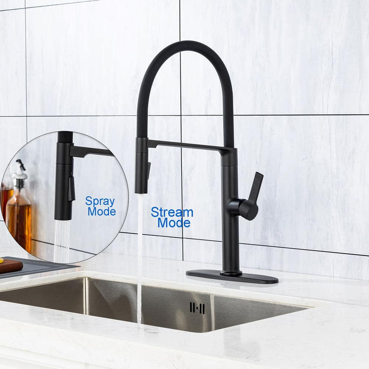 Magnetic Single Handle Pull Down Sprayer Kitchen Faucet with Deckplate and Water Supply Line Included