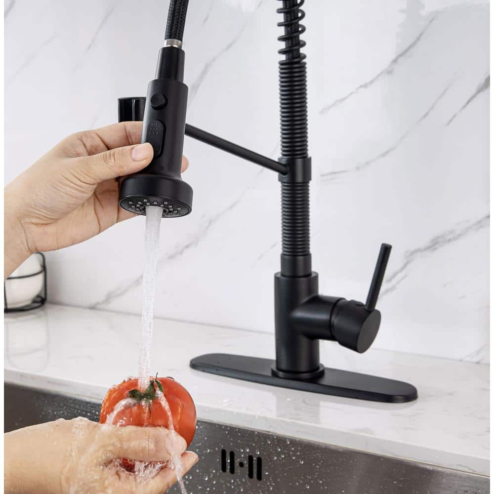 kitchen sink faucet