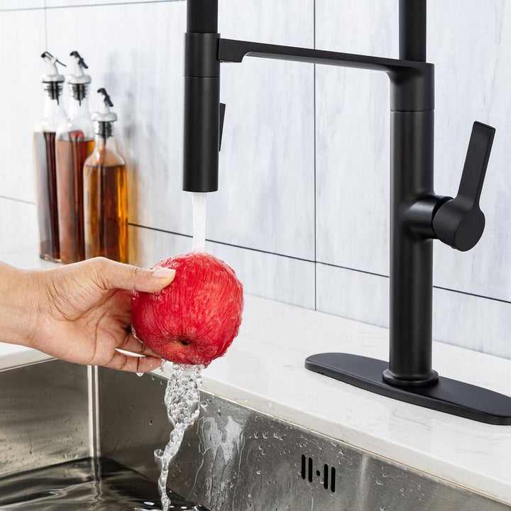 Magnetic Single Handle Pull Down Sprayer Kitchen Faucet with Deckplate and Water Supply Line Included