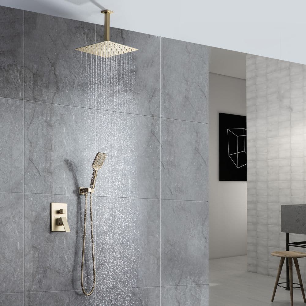 10 in. Ceiling Mount Rain Dual Shower Heads with Shower Head and Hand Shower in Brushed Gold