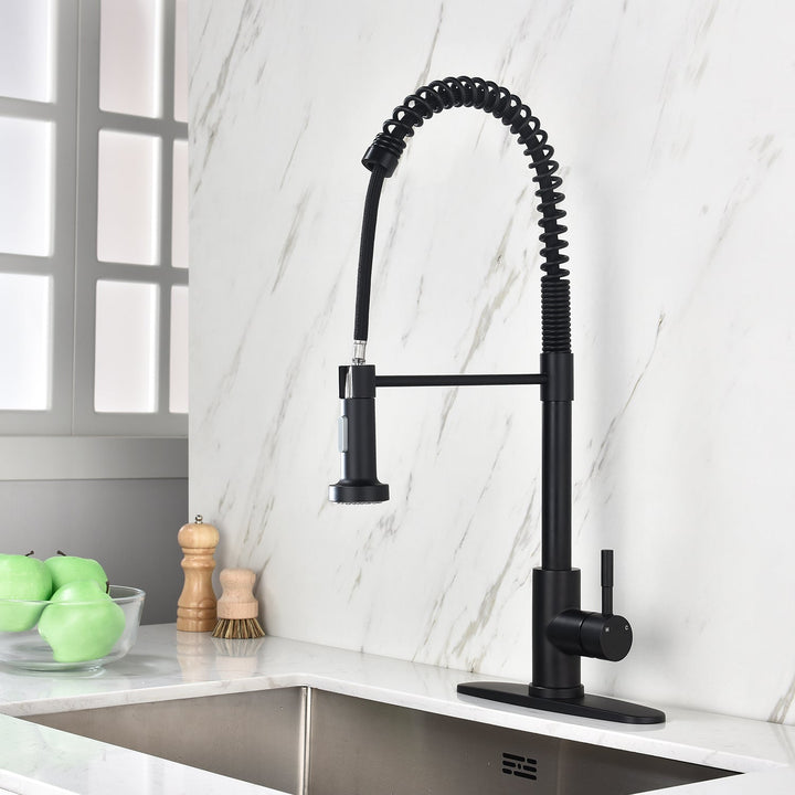 Single Handle Kitchen Faucet with Pull Out Sprayer