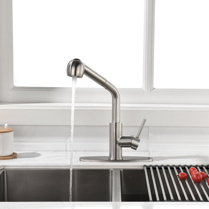 Kitchen Faucets with Pull Down Sprayer
