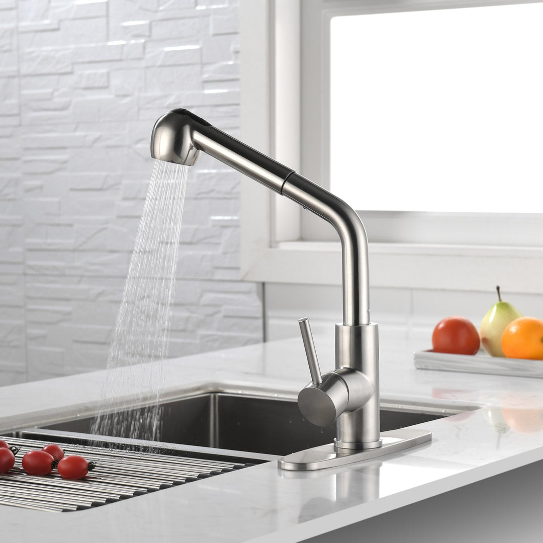 Kitchen Faucets with Pull Down Sprayer