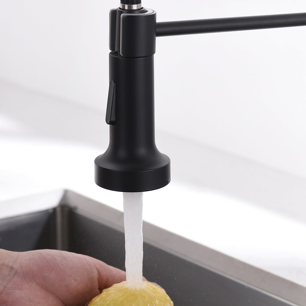Kitchen Faucet