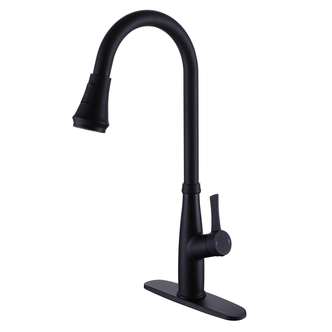 Single Handle Sink Kitchen Faucet with Pull Down Sprayer Matte Black