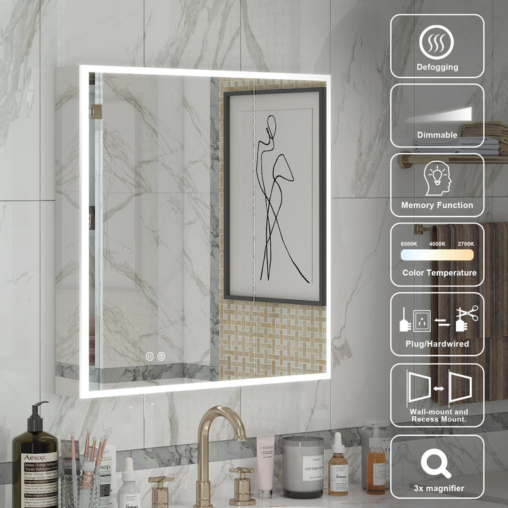 36 in. x 30 in. Rectangular Recessed/Surface Mount Medicine Cabinet with Mirror and LED Light
