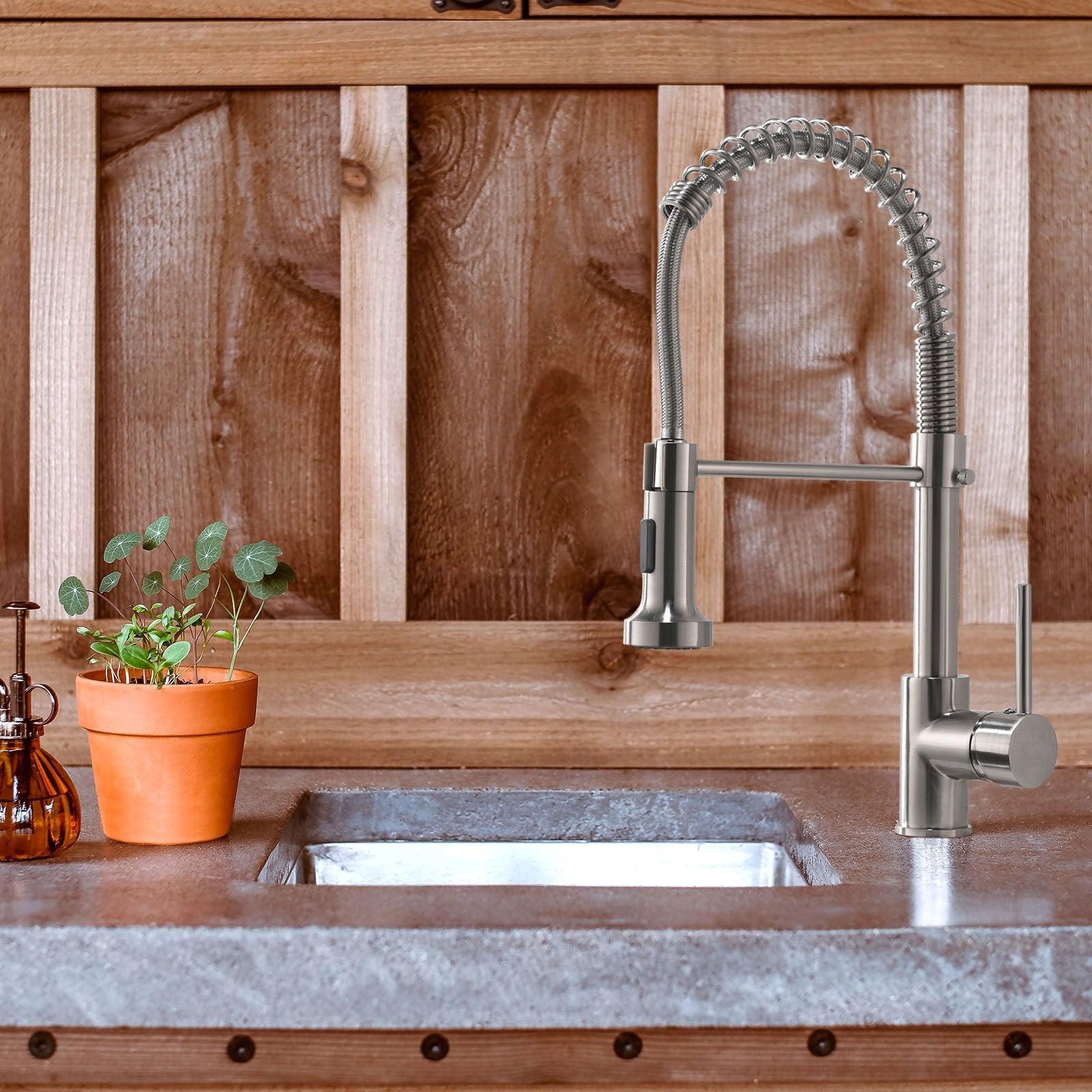 Sprayer Kitchen Faucet