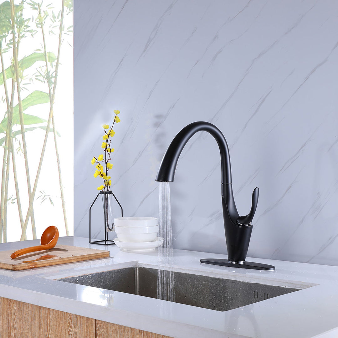 Two Functions Pull Down Single Handle Kitchen Faucet