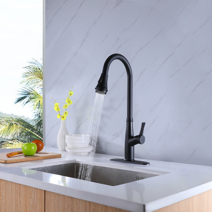 Single Handle Sink Kitchen Faucet with Pull Down Sprayer Matte Black