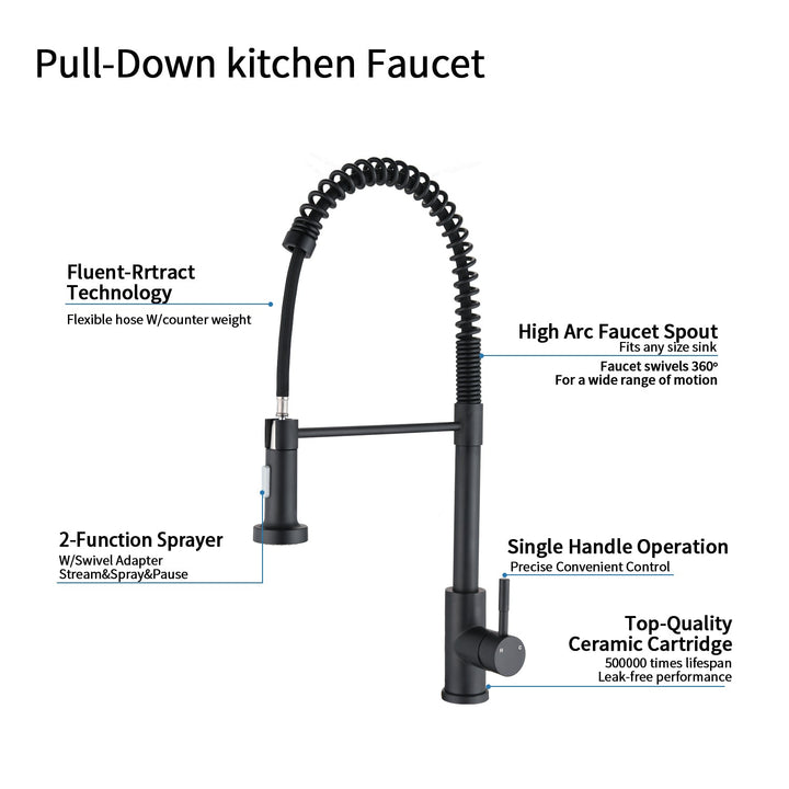 Single Handle Kitchen Faucet with Pull Out Sprayer