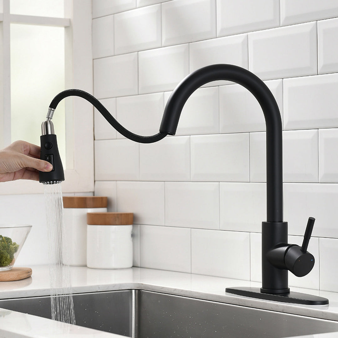 Single-Handle Pull-Down Sprayer 2 Spray High Arc Kitchen Faucet with Deck Plate