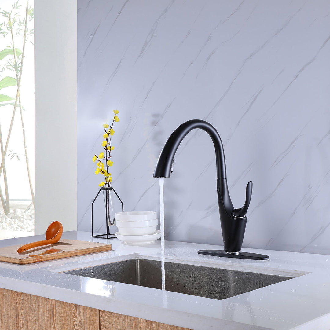 Two Functions Pull Down Single Handle Kitchen Faucet