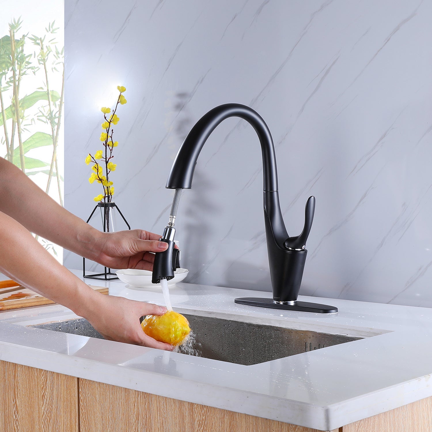Kitchen Faucet