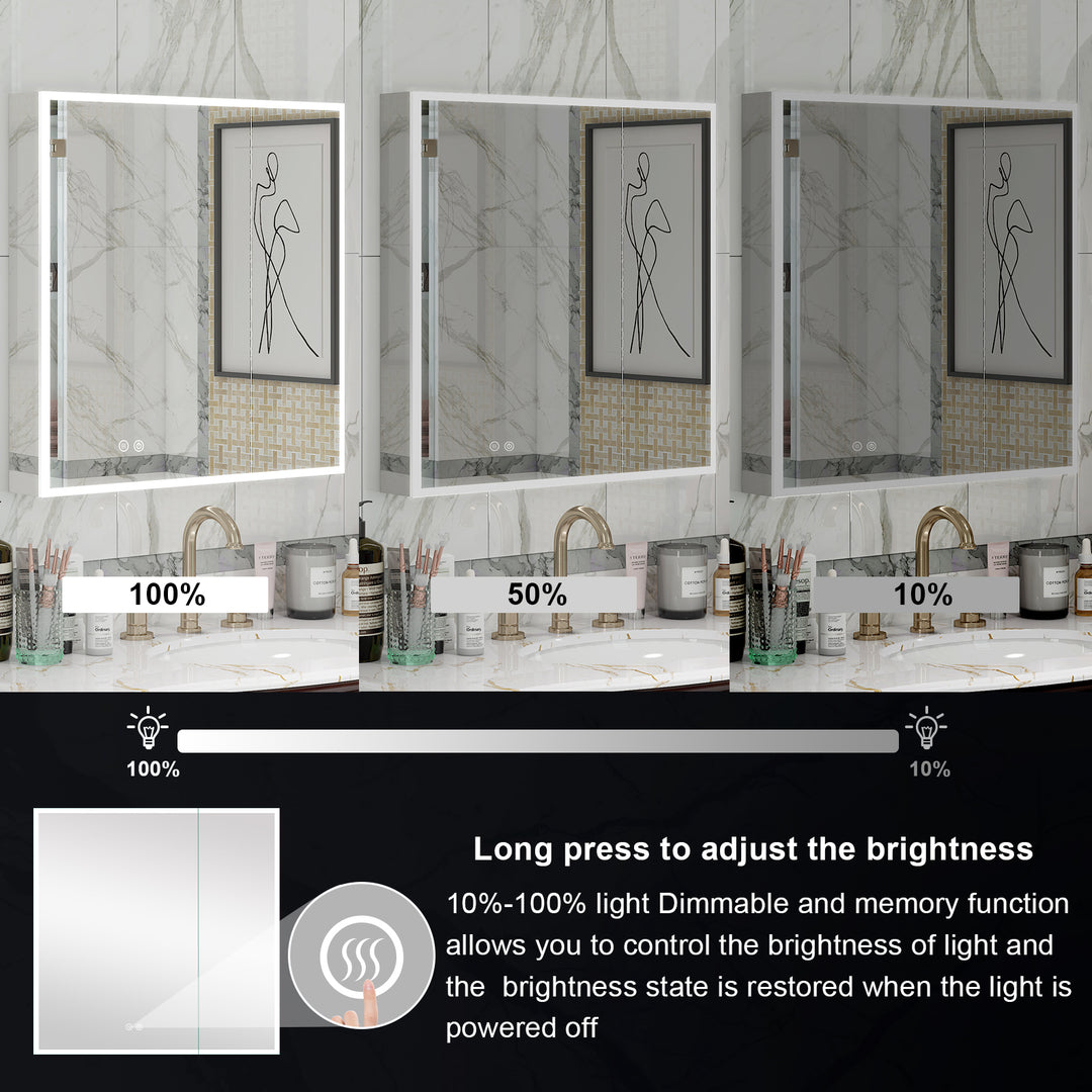 36 in. x 30 in. Rectangular Recessed/Surface Mount Medicine Cabinet with Mirror and LED Light