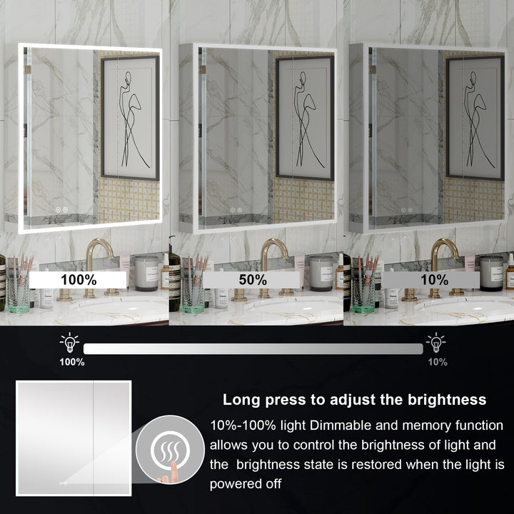 36 in. x 30 in. Rectangular Recessed/Surface Mount Medicine Cabinet with Mirror and LED Light