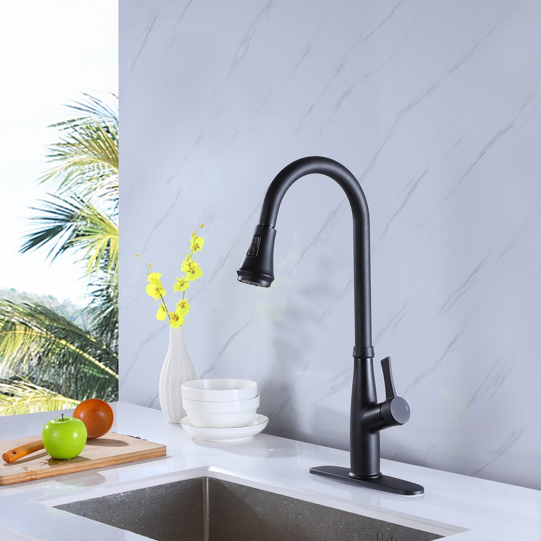 Single Handle Sink Kitchen Faucet with Pull Down Sprayer Matte Black