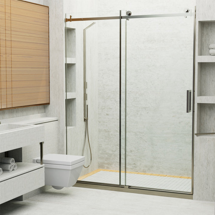 60-in W x 76-in H Sliding Shower Door with Stainless Handle in Silver(Tempered Glass)