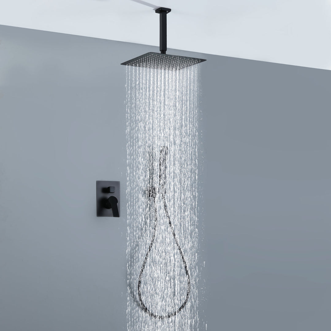 12 in. 2-Spray Patterns Ceiling Mount Dual Shower Heads with Hand Shower