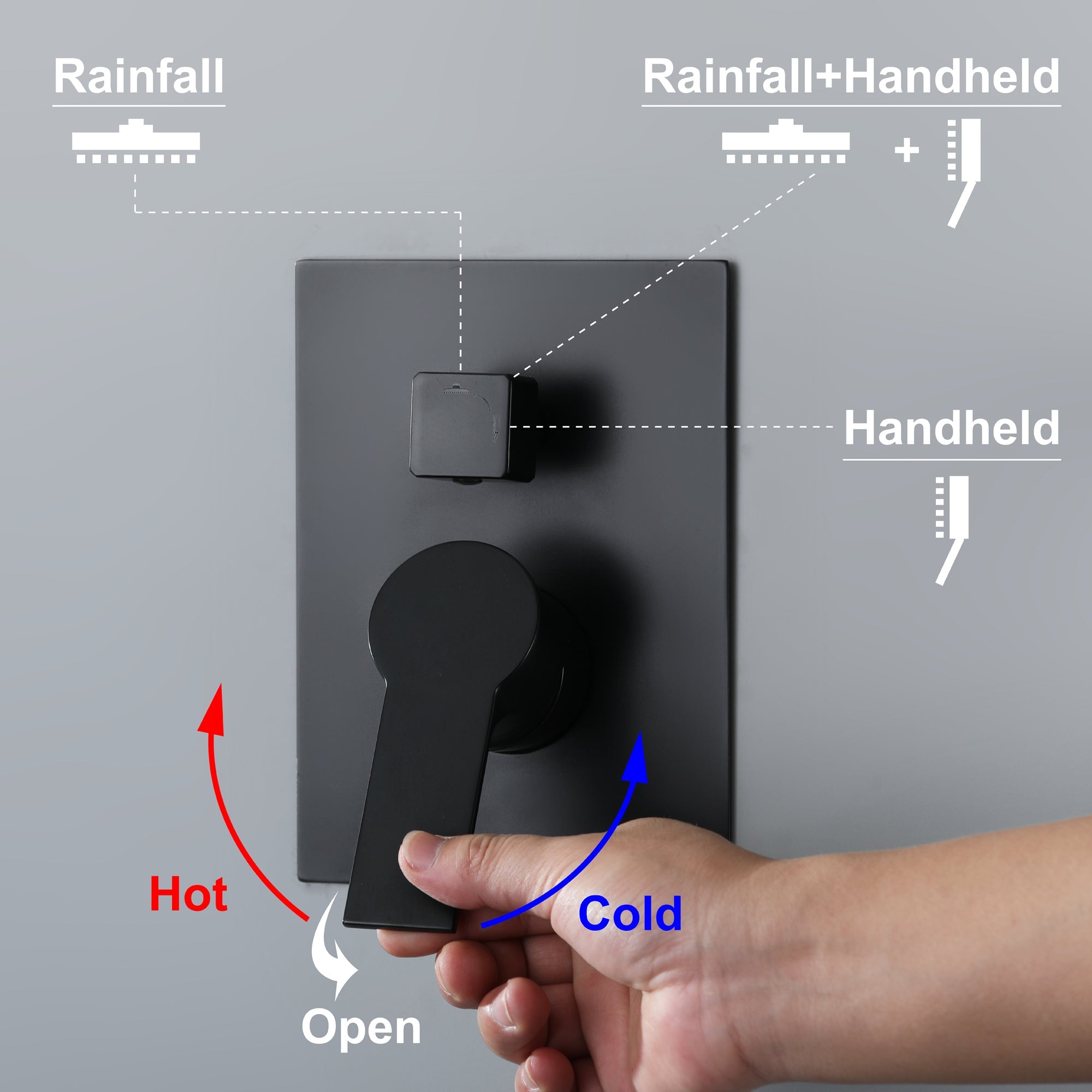 rain shower head with handheld