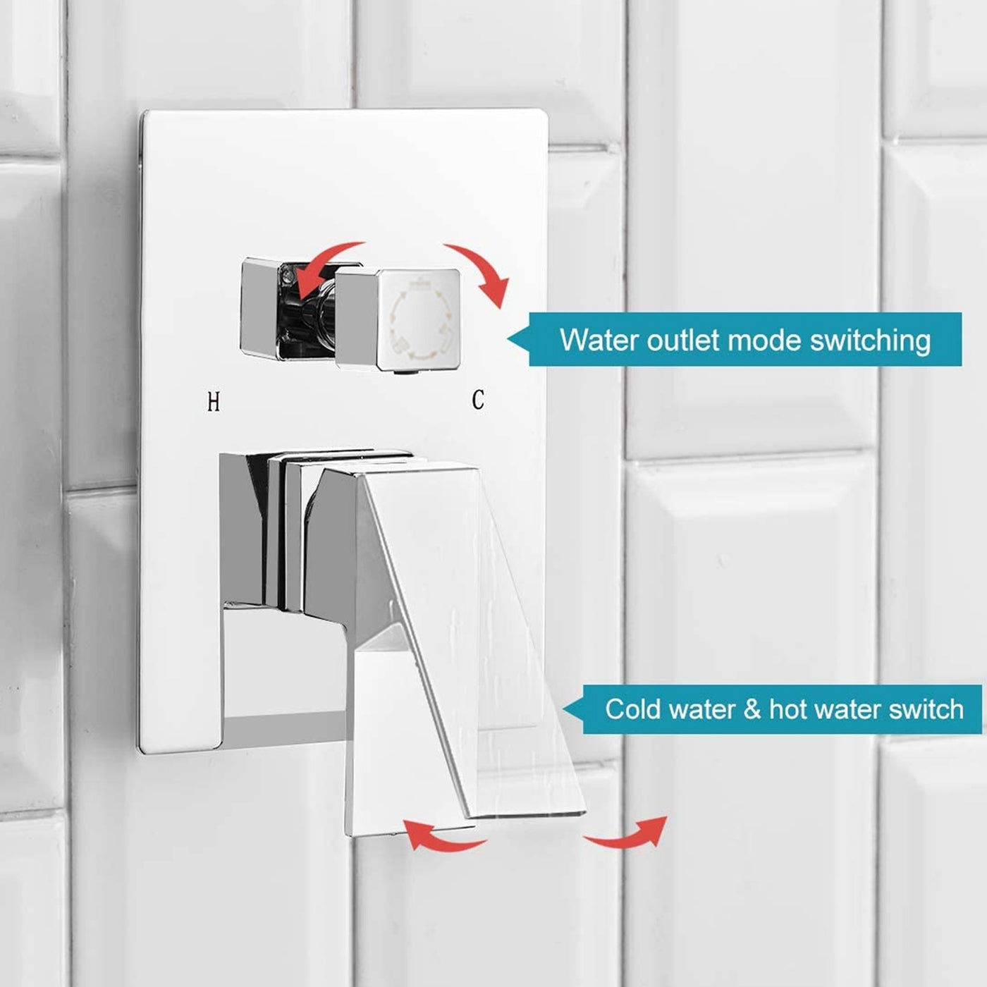 dual shower head system