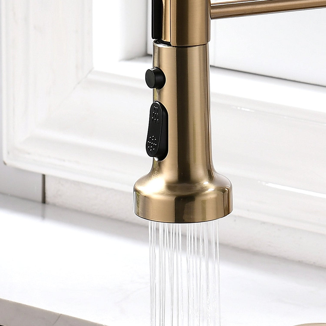 Single Handle Pull Down Sprayer Kitchen Faucet with Deckplate in Brushed Gold
