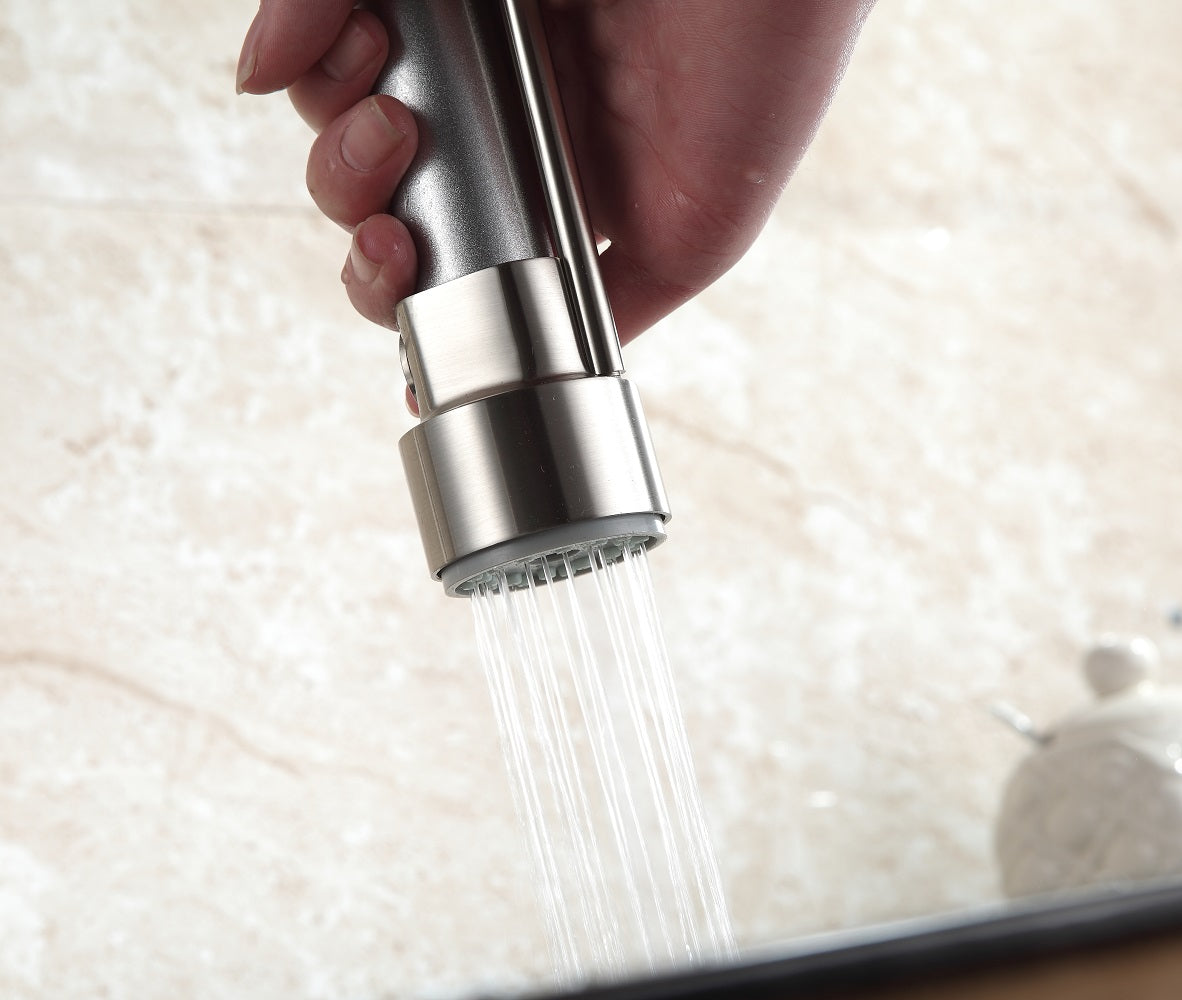 Sprayer Kitchen Faucet