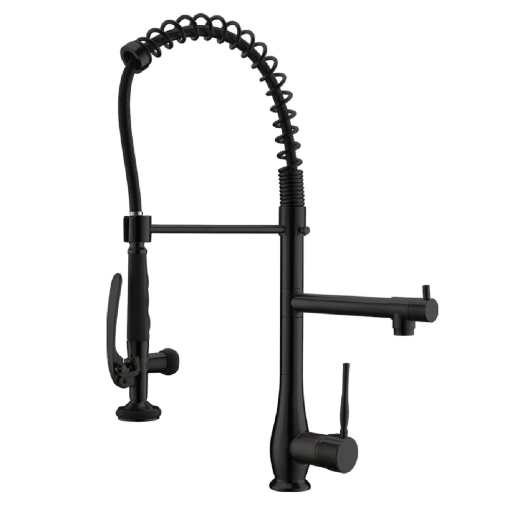 Sprayer Kitchen Faucet