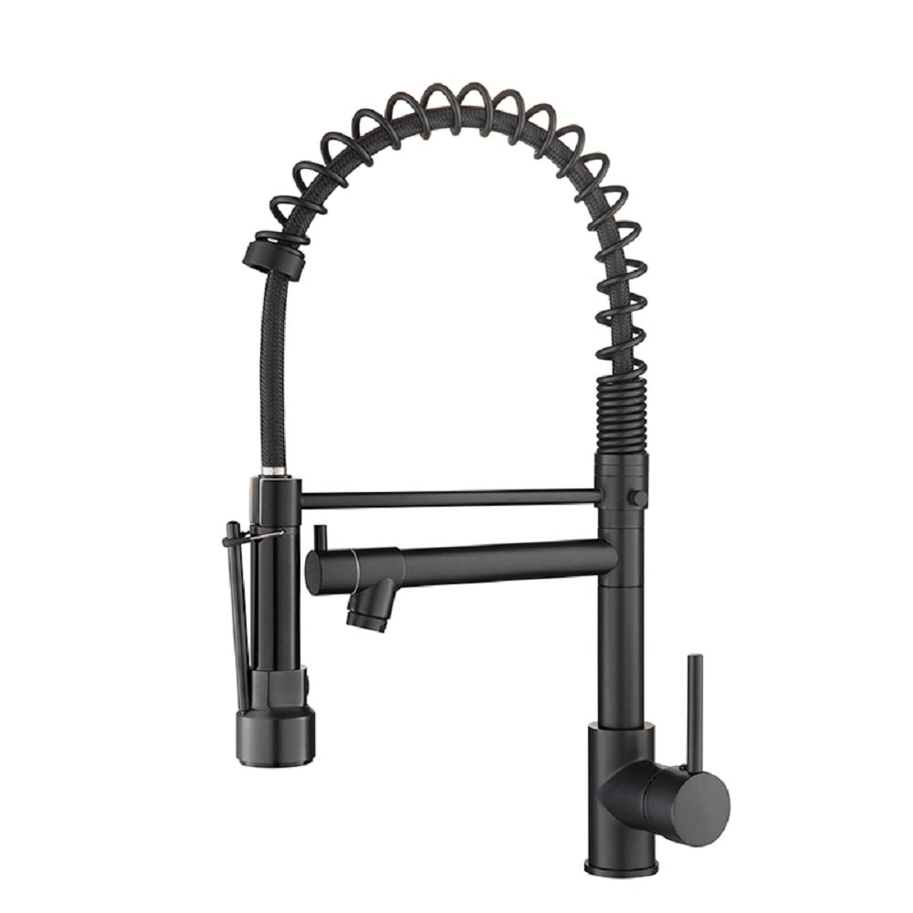 Sprayer Kitchen Faucet