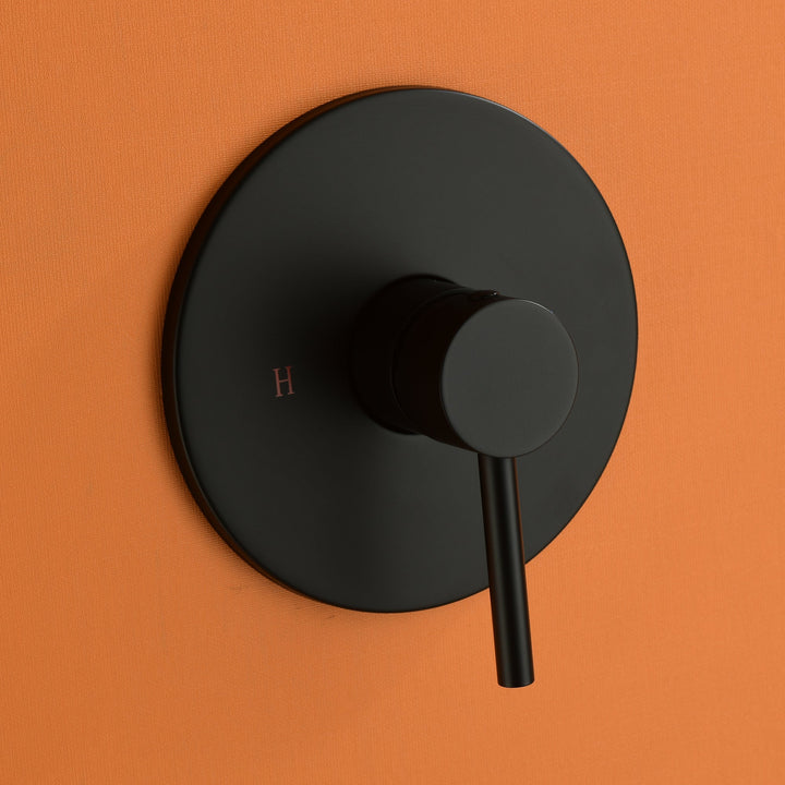 Shower Head Built-In Shower System With Rough-in Valve