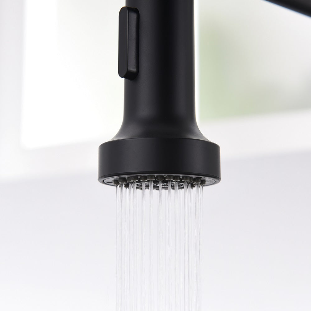 Kitchen Faucet