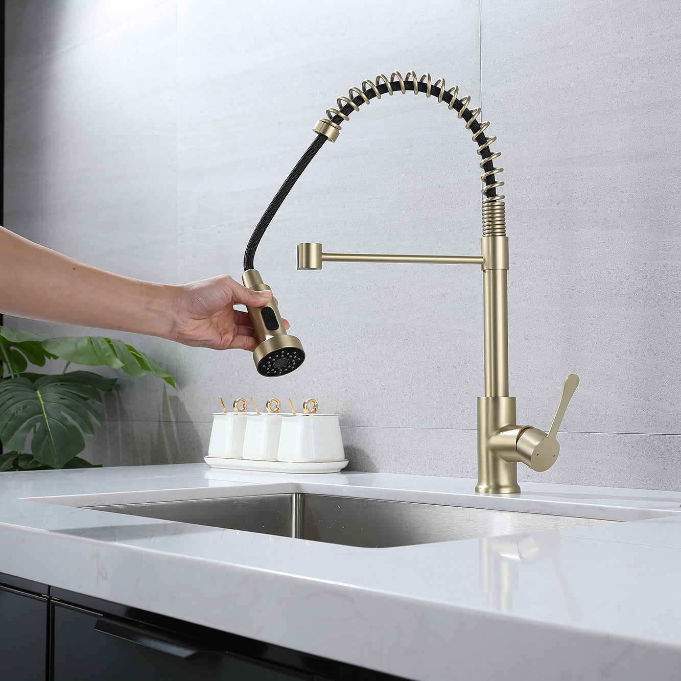 Kitchen Faucet With Pull Down Sprayer