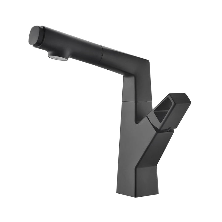 Liftable Bathroom Faucet with Pull Out Sprayer Dual Mode Single Handle Basin Faucet