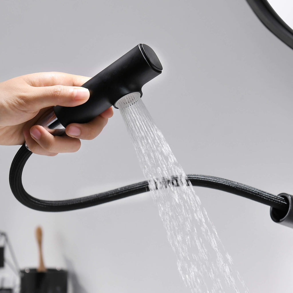 Bathroom Faucet with Pull Out Sprayer