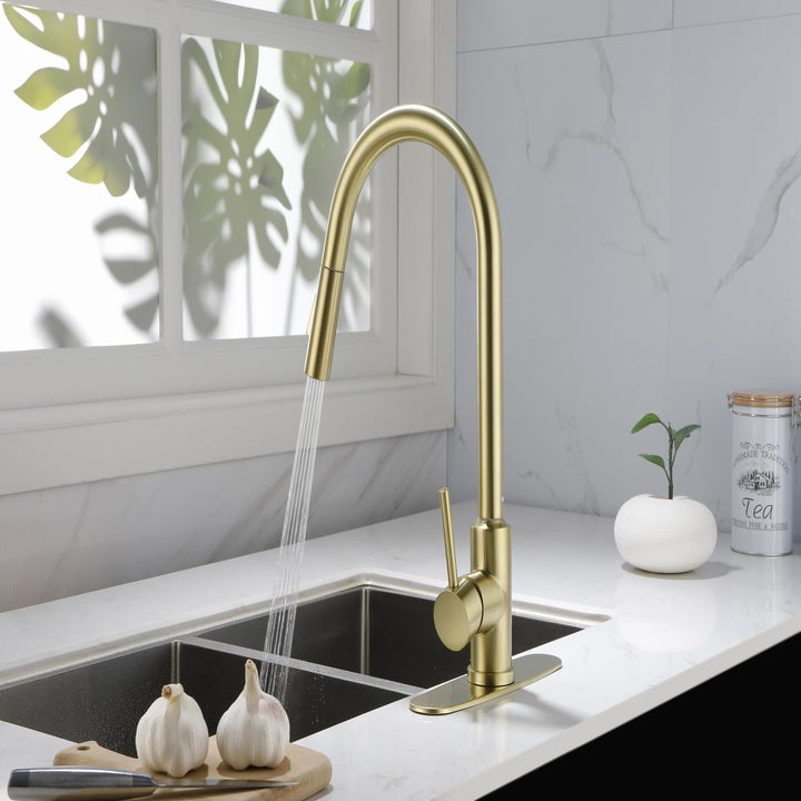 Single Handle High Arc Pull Out Kitchen Faucet