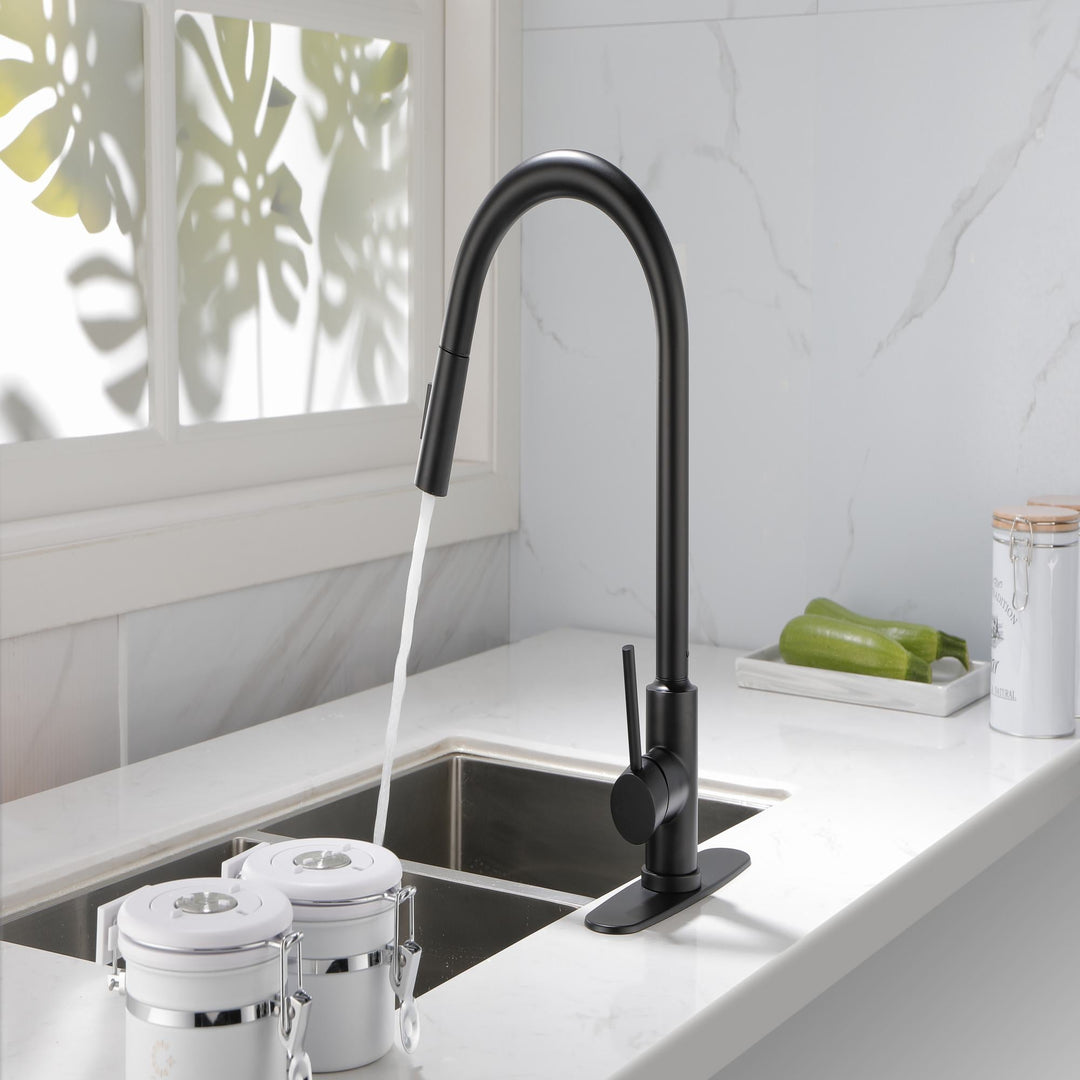 Single Handle High Arc Pull Out Kitchen Faucet