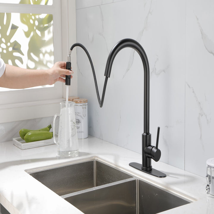 Single Handle High Arc Pull Out Kitchen Faucet