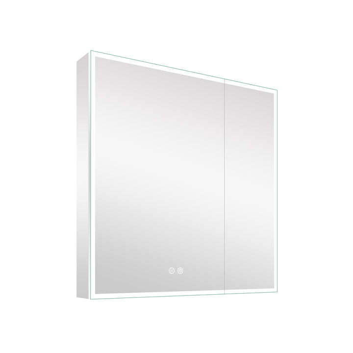36 in. x 30 in. Rectangular Recessed/Surface Mount Medicine Cabinet with Mirror and LED Light