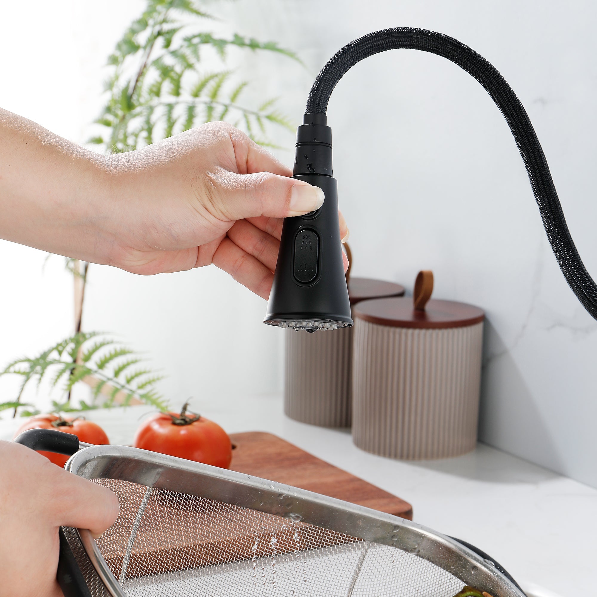Sprayer Kitchen Faucet