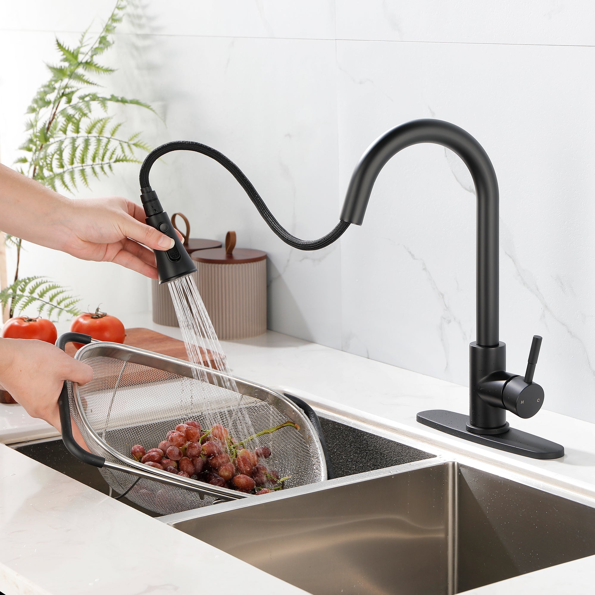 Sprayer Kitchen Faucet