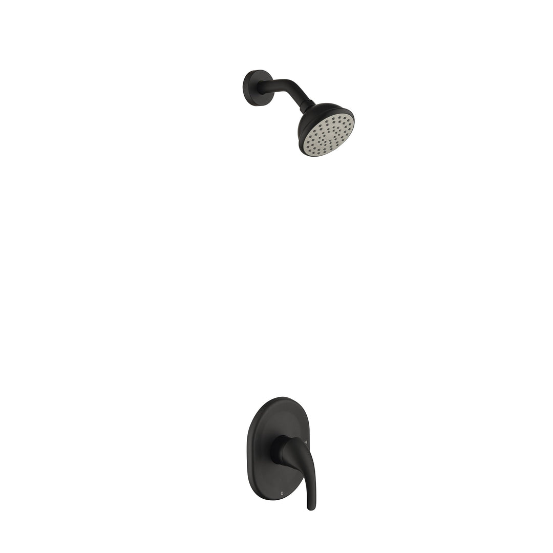 Single-Handle 2-Spray Round High Pressure Shower Faucet in Matte Black (Valve Included)