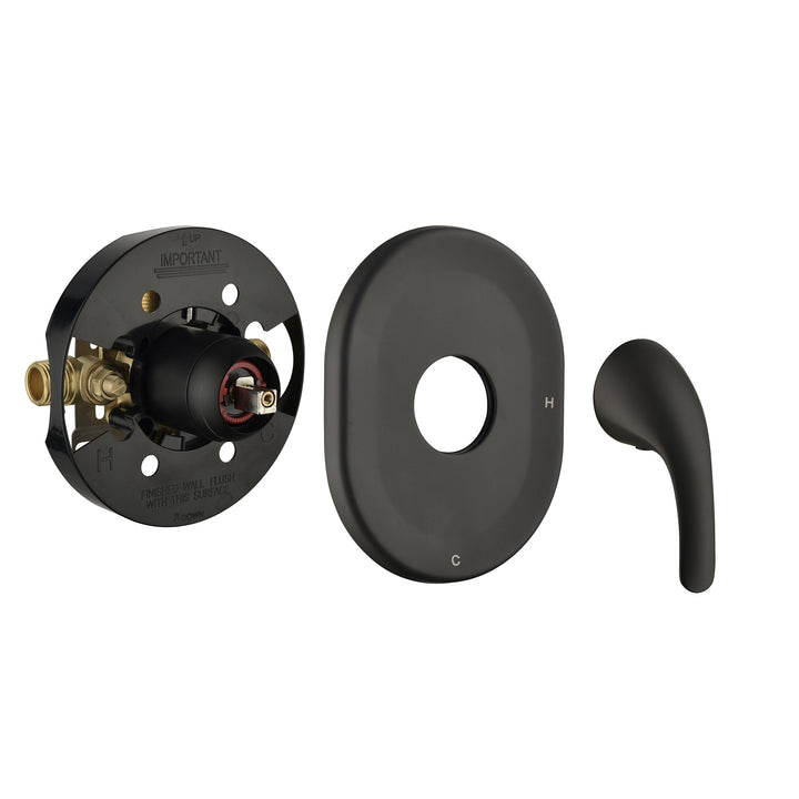 Single-Handle 2-Spray Round High Pressure Shower Faucet in Matte Black (Valve Included)