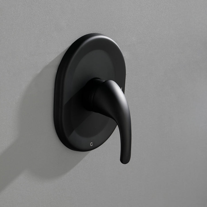 Single-Handle 2-Spray Round High Pressure Shower Faucet in Matte Black (Valve Included)