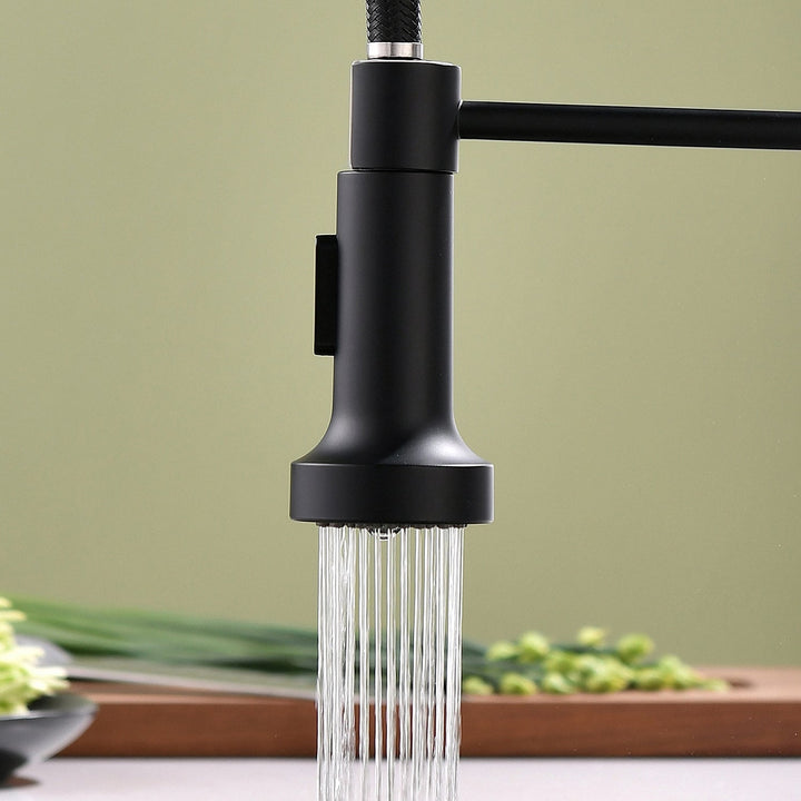 Pull Down Sprayer Kitchen Faucet with 360° Rotation